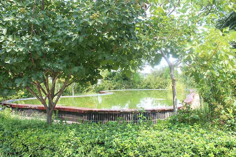 江南登陆入口-江南online(中国)机械厂区环境优美